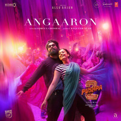 Read more about the article Lyrics for Angaaron From Pushpa 2 The Rule by Shreya Ghoshal