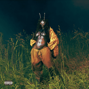 Read more about the article No More Hiding Lyrics By SZA-SOS Deluxe: LANA