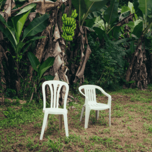 Read more about the article VOY A LLeVARTE PA PR Lyrics By Bad Bunny-DeBÍ TiRAR MáS FOToS