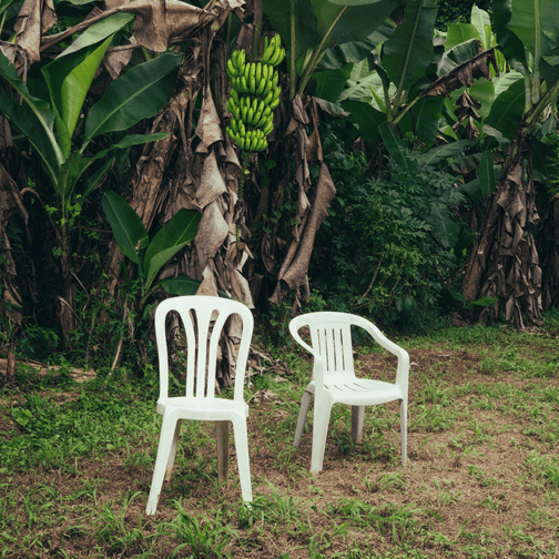 You are currently viewing NUEVAYoL Lyrics By Bad Bunny-DeBÍ TiRAR MáS FOToS
